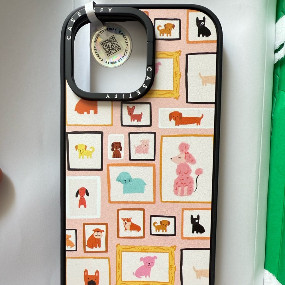 Casetify iphone 16 pro max Case